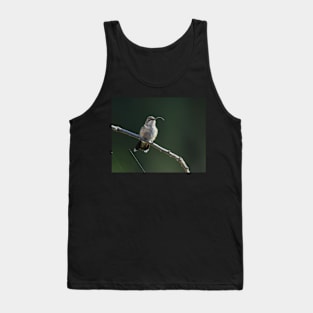 The Tongue Flicker of a Ruby Throated Hummingbird Tank Top